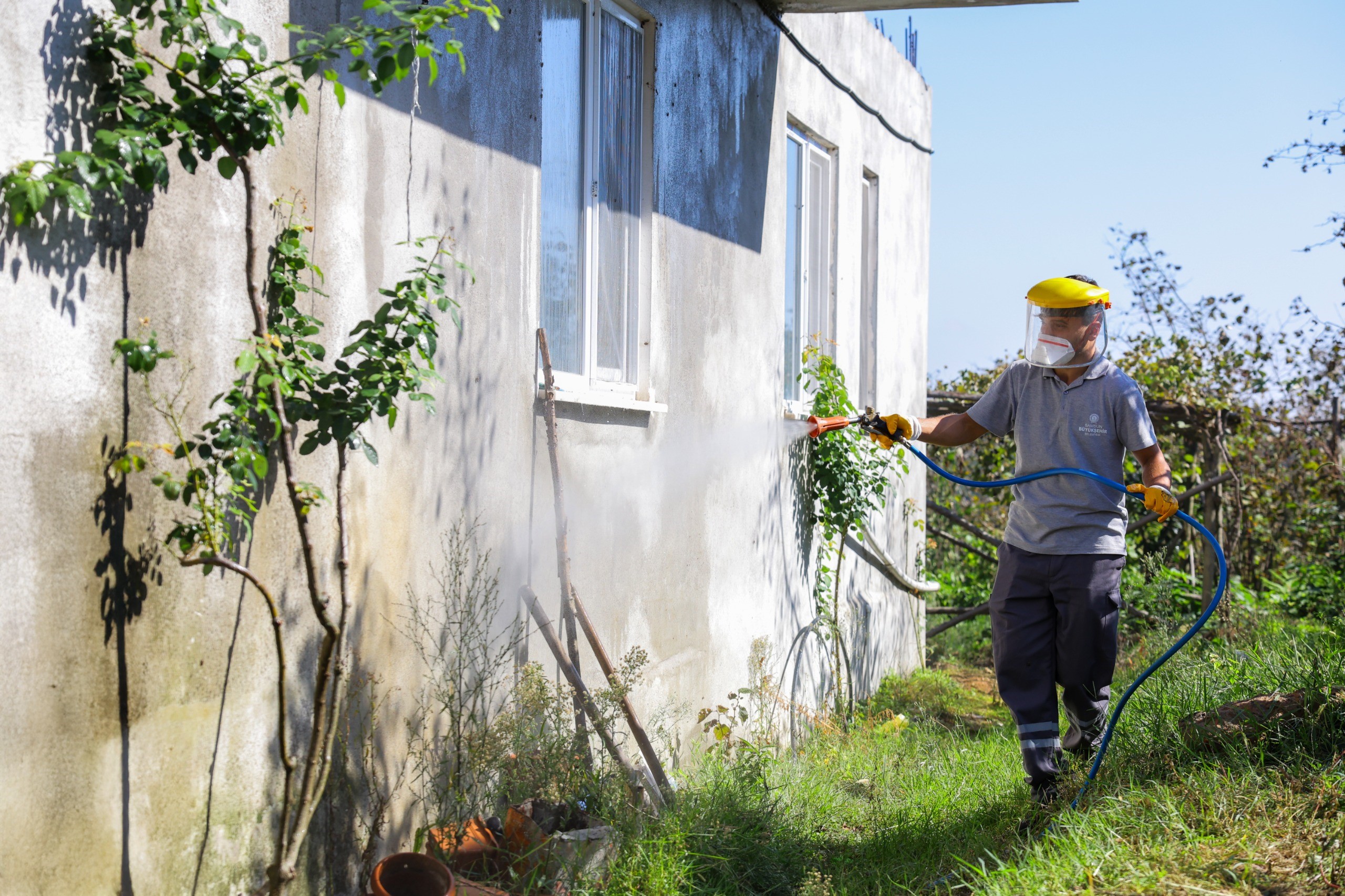 BÜYÜKŞEHİR’DEN KAHVERENGİ KOKARCAYA KARŞI KIŞLAK  MÜCADELESİ