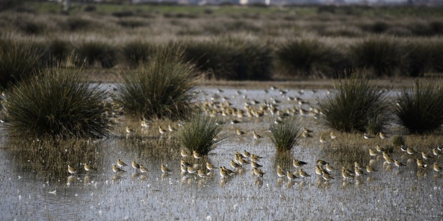 KUŞ CENNETİ’NDE SONBAHAR GÖZ KAMAŞTIRIYOR