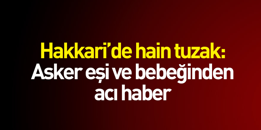 Hakkari'de hain tuzak: Asker eşi ve bebeğinden acı haber