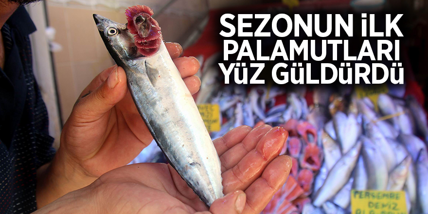 Sezonun ilk palamutları yüz güldürdü 