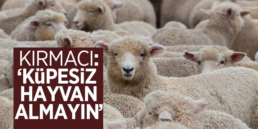 Kırmacı: “Küpesiz hayvan almayın” 