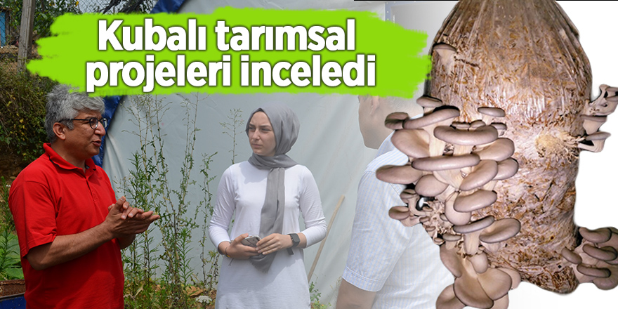 Kubalı tarımsal projeleri inceledi