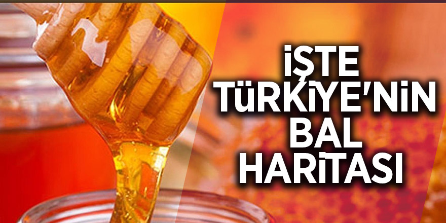 İşte Türkiye'nin bal haritası 