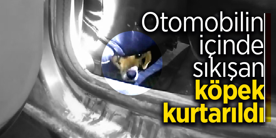 Otomobilin içinde sıkışan köpek kurtarıldı 