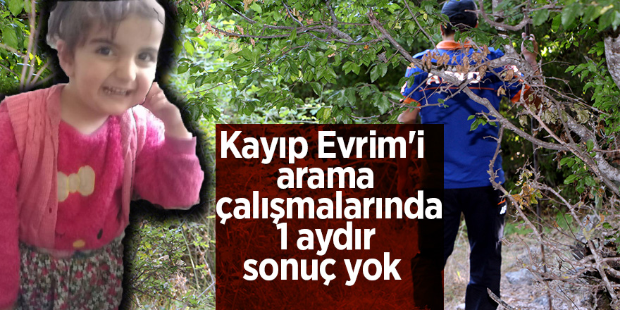 Kayıp Evrim'i arama çalışmalarında 1 aydır sonuç yok 