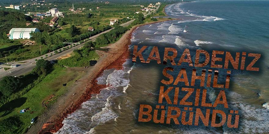 Karadeniz sahili kızıla büründü 