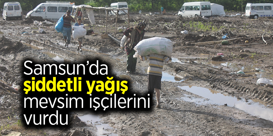 Samsun’da şiddetli yağış mevsim işçilerini vurdu 