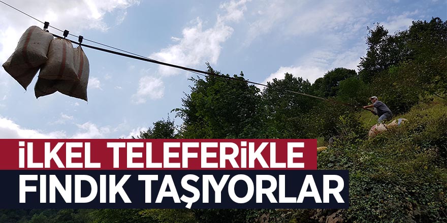 İlkel teleferikle fındık taşıyorlar  