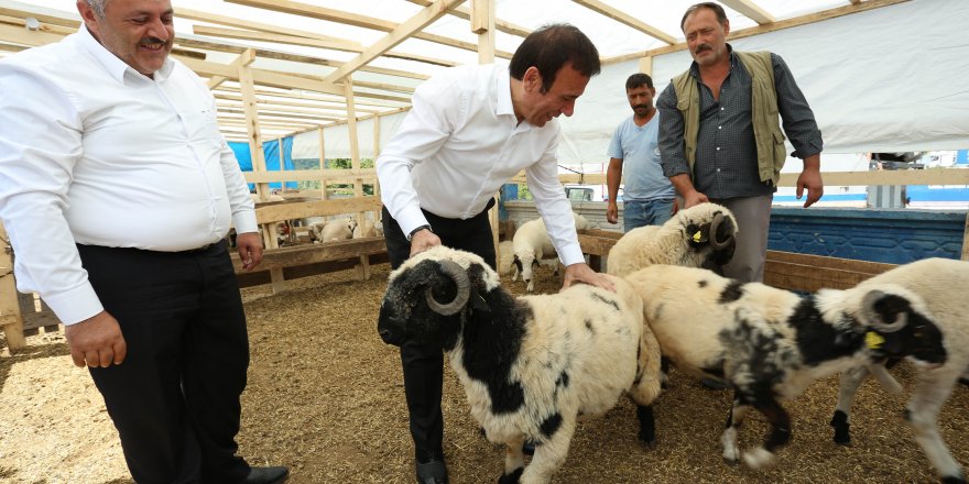 Başkan Genç’ten kurban pazarına ziyaret