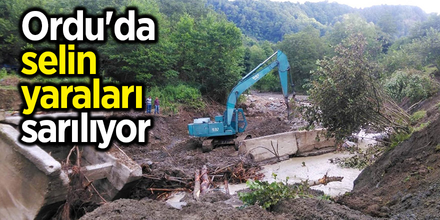 Ordu'da selin yaraları sarılıyor 