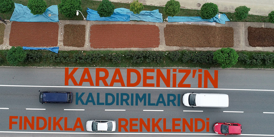 Karadeniz'in kaldırımları fındıkla renklendi