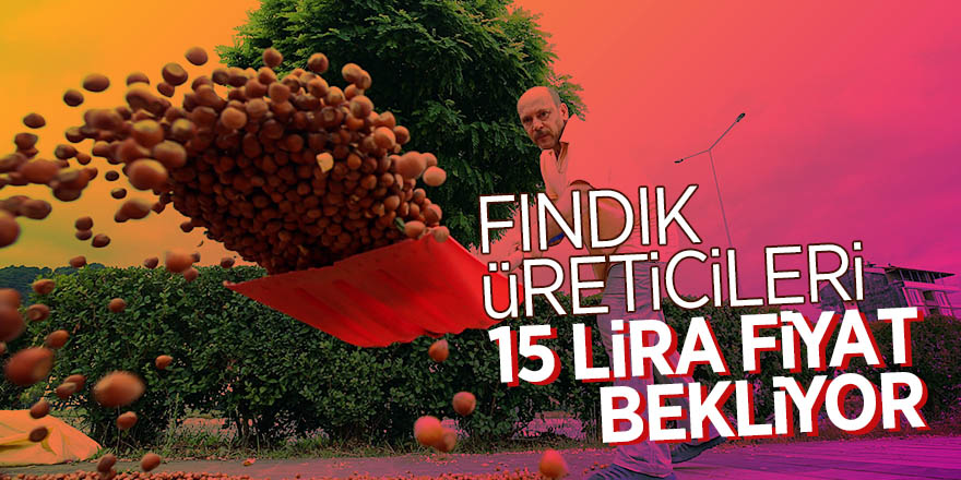 Fındık üreticileri 15 lira fiyat bekliyor 