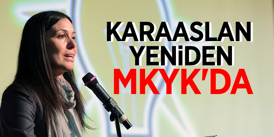 Karaaslan yeniden MKYK'da 