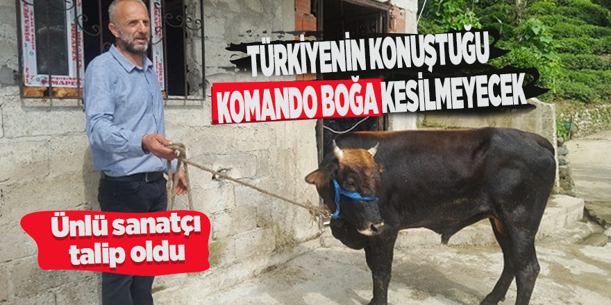 Türkiye'nin konuştuğu komando boğa kesilmeyecek