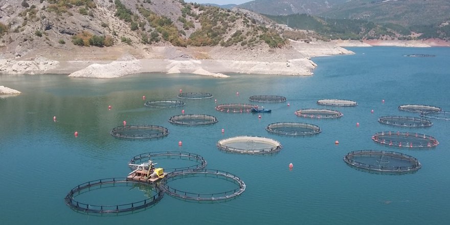 Baraj gölünde su seviyesinin düşmesi balıkçıları endişelendiriyor 