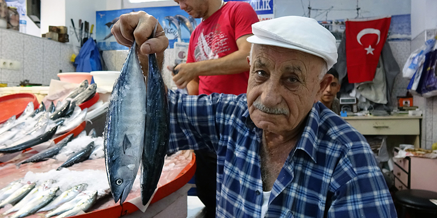 Av yasağı bitti; Trabzon’da palamut bolluğu yaşanıyor