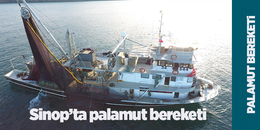 Sinop’ta palamut bereketi