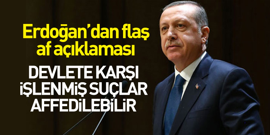 Erdoğan'dan flaş af açıklaması