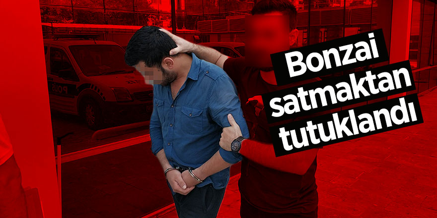 Bonzai satmaktan tutuklandı