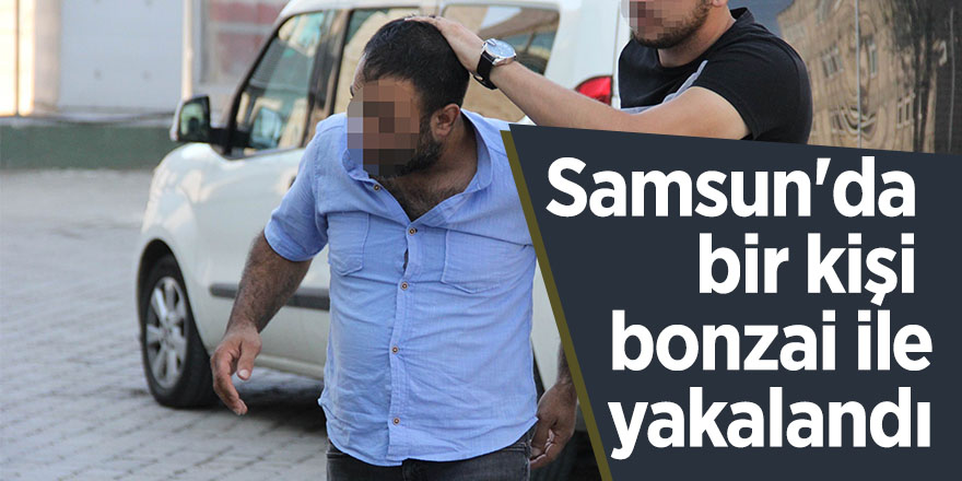 Samsun'da bir kişi bonzai ile yakalandı