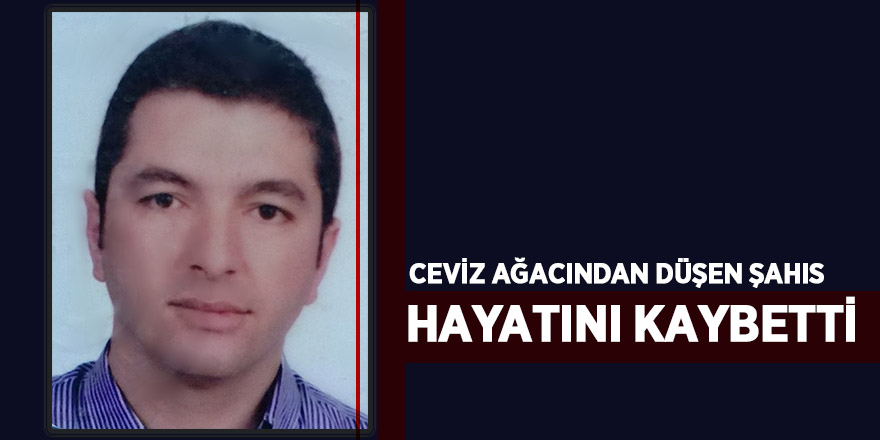 Ceviz ağacından düşen bir kişi hayatını kaybetti 