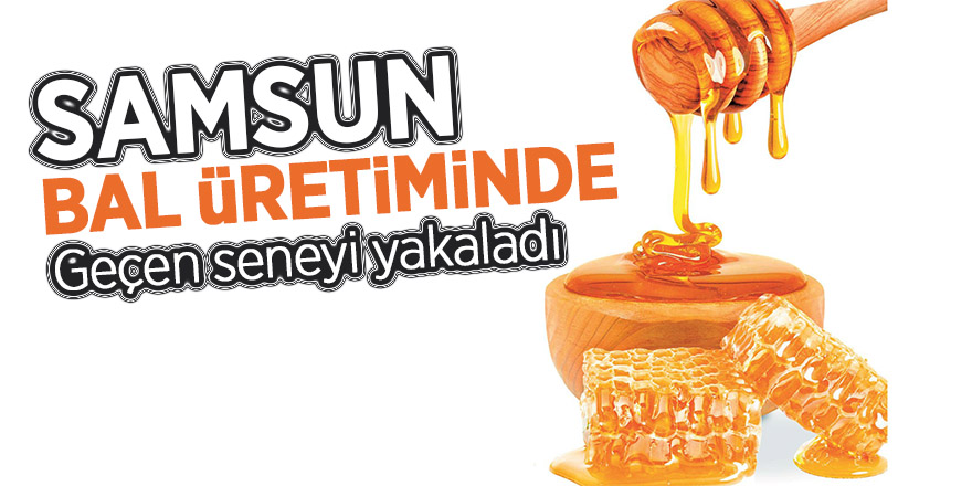 Samsun, bal üretiminde geçen seneyi yakaladı 