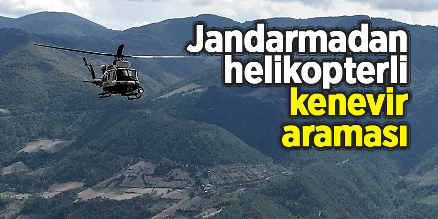 Jandarmadan helikopterli kenevir araması 