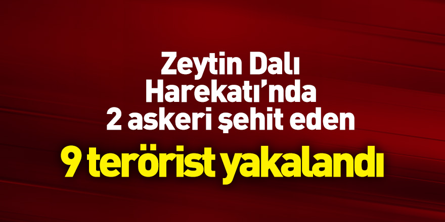 Zeytin Dalı Harekatı'nda 2 askeri şehit eden 9 terörist yakalandı