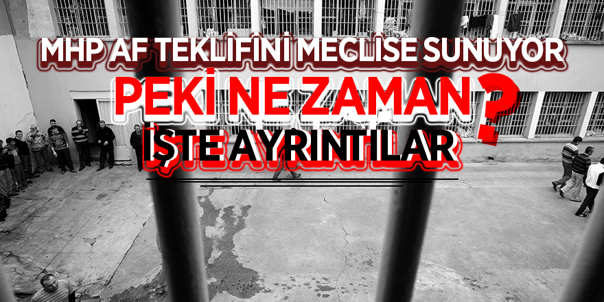 MHP af teklifini meclise sunuyor