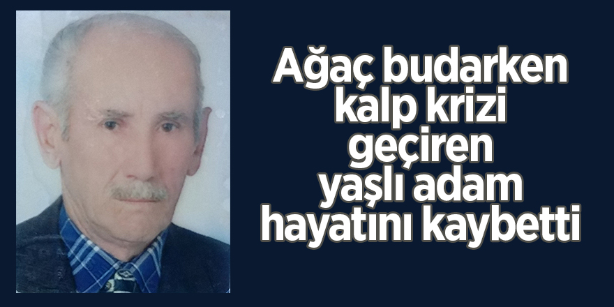 Ağaç budarken kalp krizi geçiren yaşlı adam hayatını kaybetti 