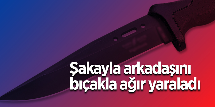 Şakayla arkadaşını bıçakla ağır yaraladı 