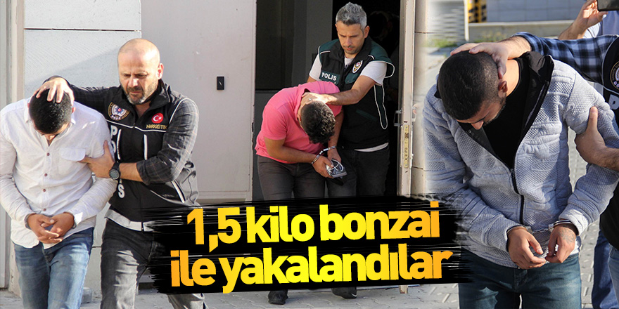 İstanbul'dan yolcu otobüsü ile 1,5 kilo bonzai getirirken yakalandı