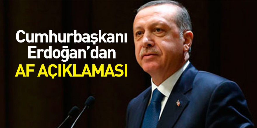 Cumhurbaşkanı Erdoğan'dan af açıklaması