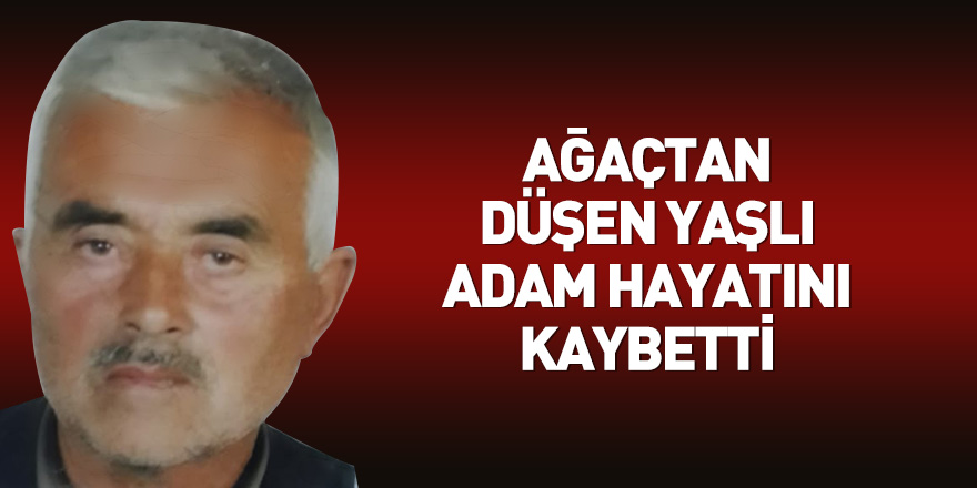 Ağaçtan düşen yaşlı adam hayatını kaybetti