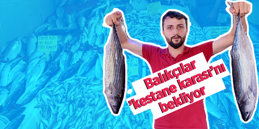 Balıkçılar ’Kestane Karası’nı bekliyor