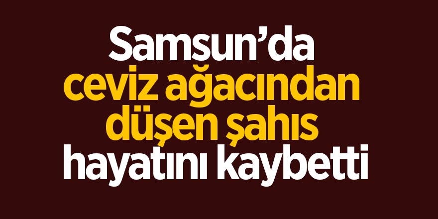 Samsun’da ceviz ağacından düşen şahıs hayatını kaybetti