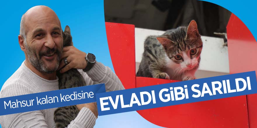 Mahsur kalan kedisine evladı gibi sarıldı 