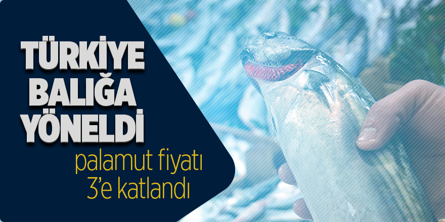 Türkiye balığa yöneldi, palamut fiyatı 3’e katlandı 