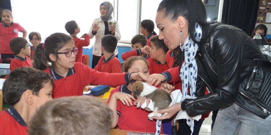 Bafra'da ilkokul öğrencilerine hayvan sevgisi aşılanıyor 