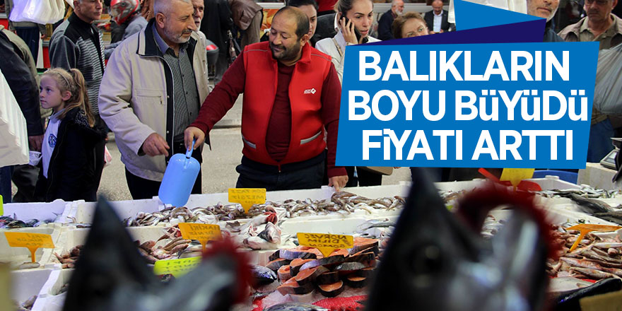 Balıkların boyu büyüdü, fiyatı arttı 