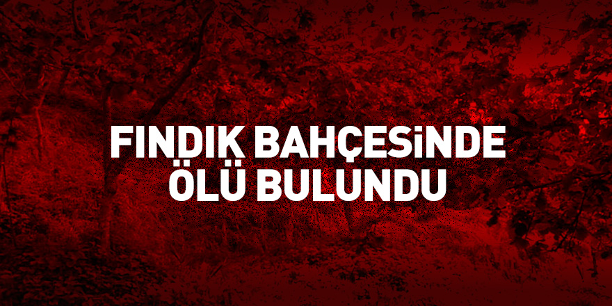 Yaşlı adam, fındık bahçesinde ölü bulundu