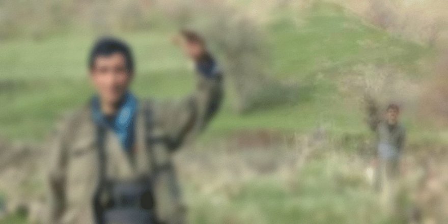 Hakkari'de 2 PKK'lı terörist teslim oldu