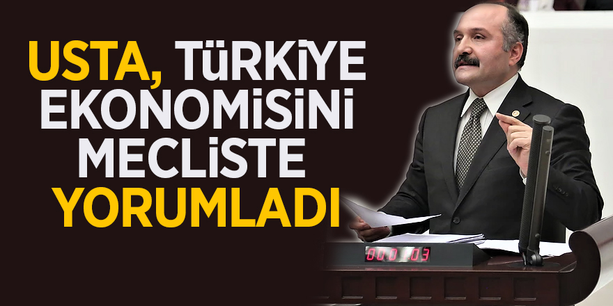 Usta, Türkiye ekonomisini mecliste yorumladı