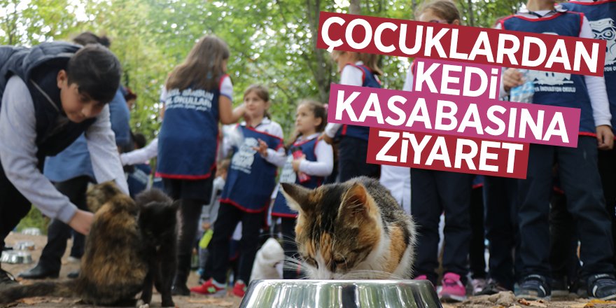 Samsun'daki 'Kedi Kasabası’nda çocuklara hayvan sevgisi aşılandı 