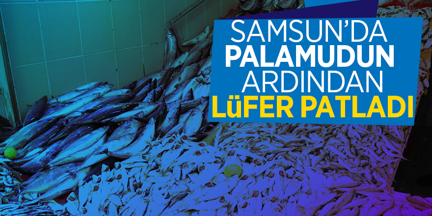 Samsun’da palamudun ardından lüfer patladı 