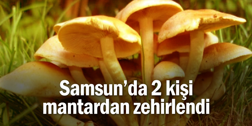 Samsun'da 2 kişi mantardan zehirlendi