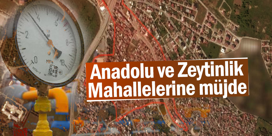 Başkan Tok'tan, Anadolu ve Zeytinlik Mahallelerine müjde