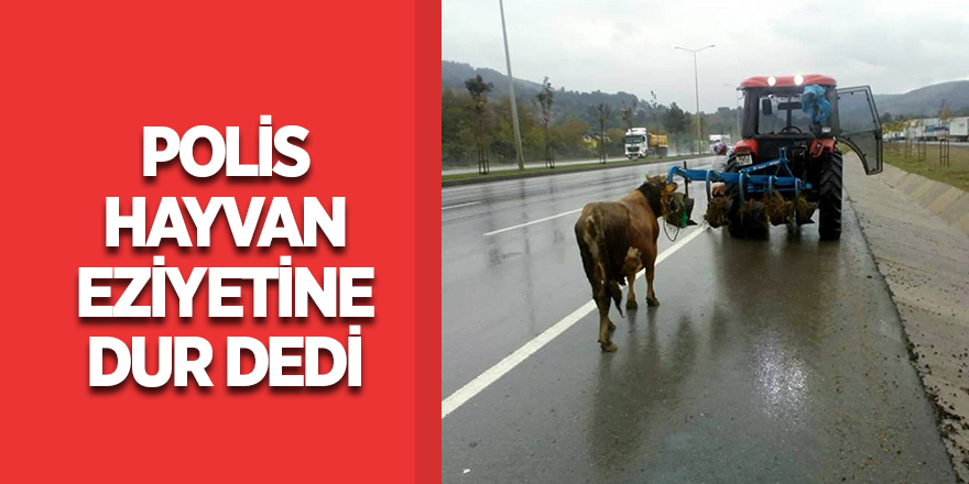 Trafik polisinden hayvana eziyet eden traktör sürücüsüne ceza 