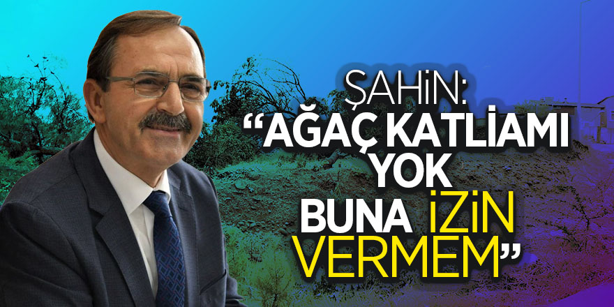 Şahin: “Ağaç katliamı yok, buna da izin vermem” 