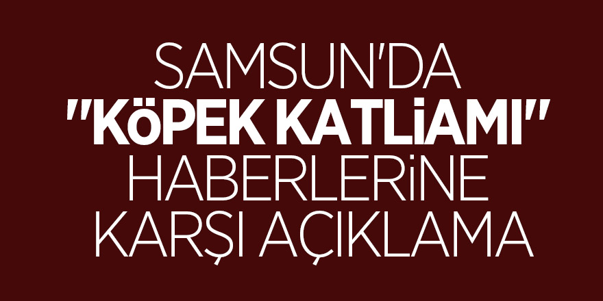 Samsun'da "köpek katliamı" haberlerine karşı açıklama